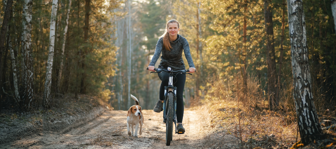 Fahrradfahren mit Hund - gemeinsam die Natur erkunden