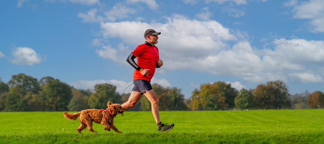 Joggen mit Hund - Tipps für gemeinsame Laufabenteuer