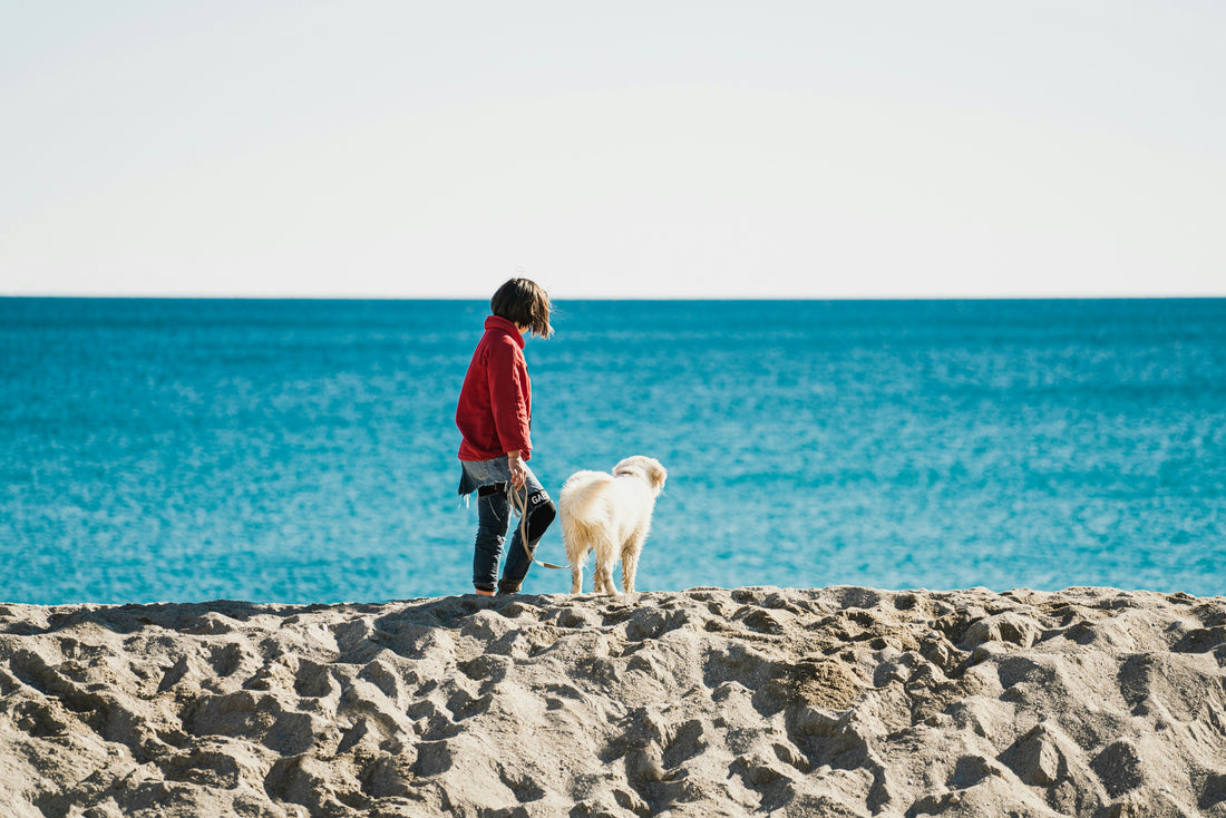 Urlaub mit Hund - gemeinsam die Welt erkunden